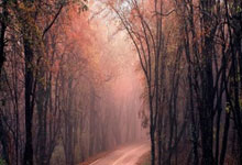 开云-Scout回归赛场，回归赛场首场状态亮眼，勇士观众沸腾！的简单介绍