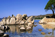 开云-Scout回归赛场，回归赛场首场状态亮眼，勇士观众沸腾！的简单介绍